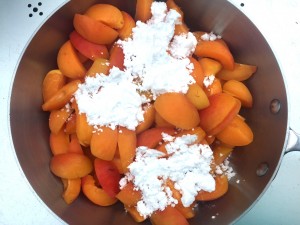 aprikosenkompott